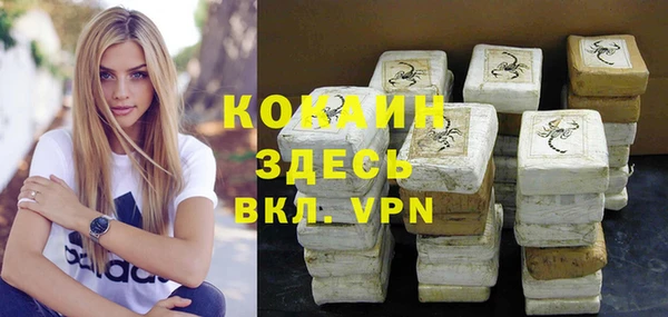 дживик Нея