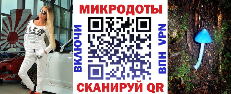 Купить  Брюховецкая  Псилоцибиновые грибы GOLDEN TEACHER 